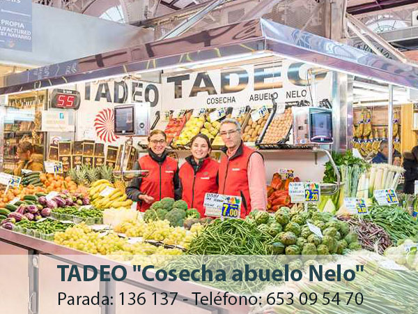 Tadeo Info